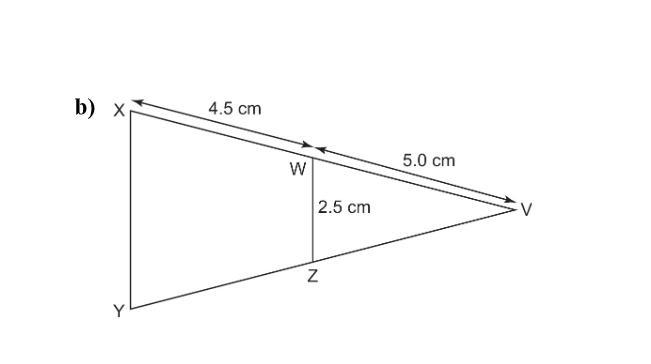 Pls help me solve for length XY pls show how you got the answer-example-1