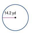 4. Determine the circumference of a circle with a radius that is 14.2 yds. Use 3.14 for-example-1