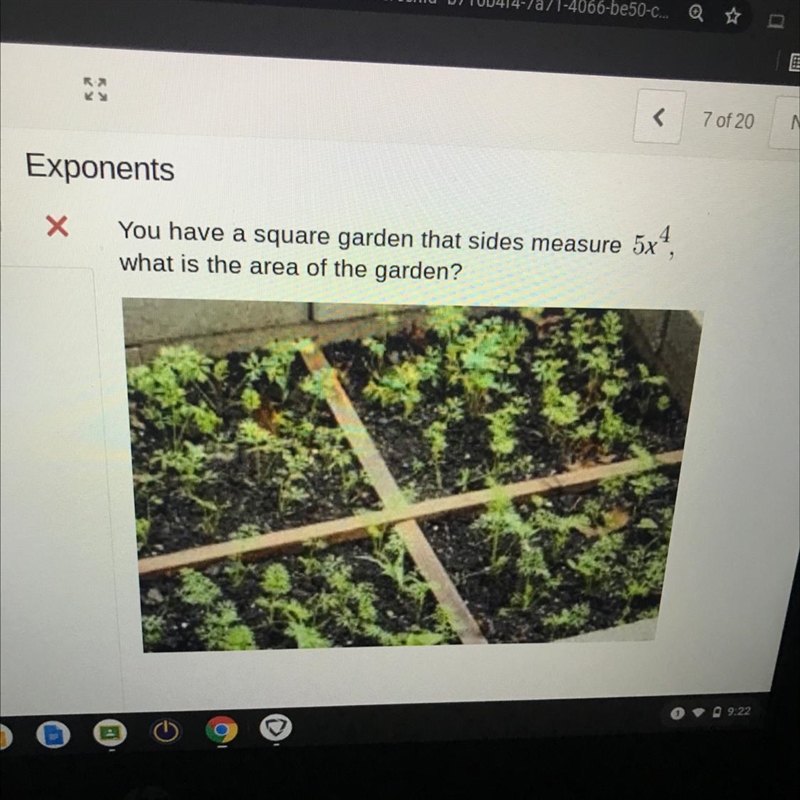 5x^4? Please solve this for me I don’t understand stand-example-1