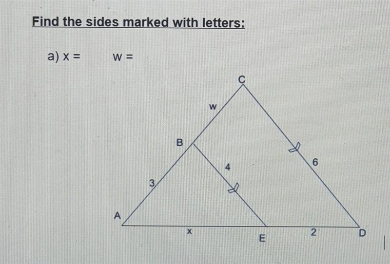 Find the sides marked with letters: X = ? W = ?​-example-1