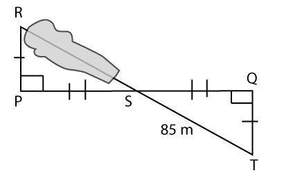 Given the diagram below what is the length of RS or the distance across a body of-example-1