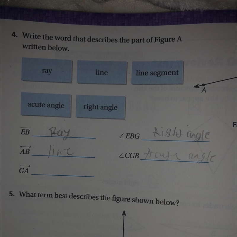 Write the word that describes the part of figure A written below.-example-1