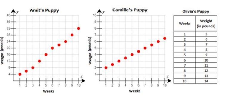 Does the data for Amit’s puppy show a function? Why or why not?-example-1