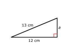 Pythagorean theorem: find the perimeter What is the perimeter?-example-1