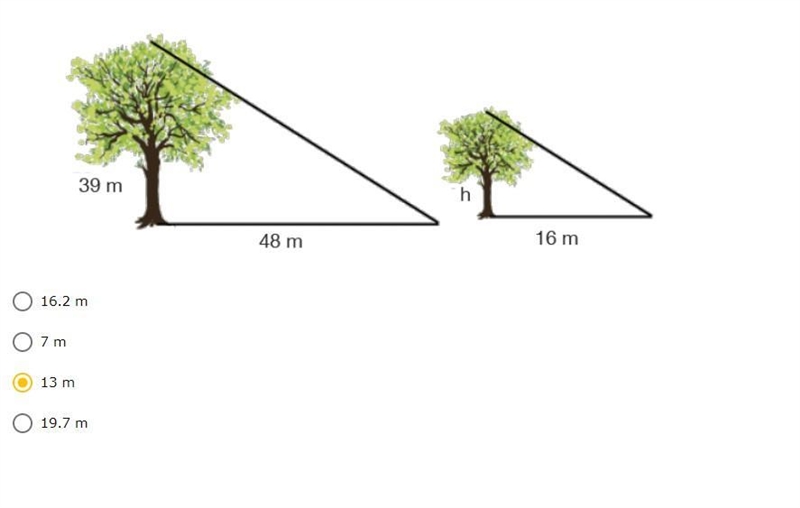 Given the diagram below, find the height of the shorter tree. 16.2 m 7 m 13 m 19.7 m-example-1