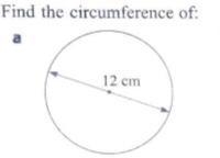 Find the circumference-example-1