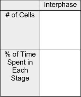 25 Points!! :D Complete the interphase part of the data from your data table.-example-1