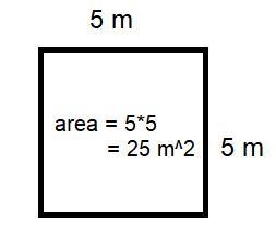 The area of a square backyard is 25 m² square meters.What is the length of each side-example-1