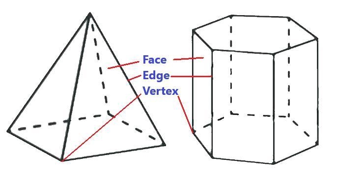 Verify Euler's formula for (a) Tetrahedron (b) Hexagonal prism-example-1