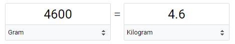 Convert. 4600 g = _____ kg​-example-1