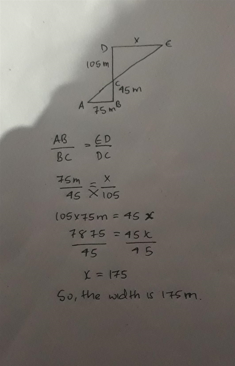 I really need help please someone-example-1