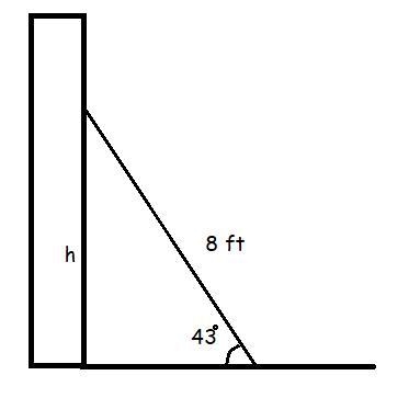 An 8-foot ladder rests against the side of a building. The ladder forms a 43 degrees-example-1