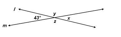 Line l and line m are straight lines. What is the measure of angle y? 43° 47° 137° 147°-example-1