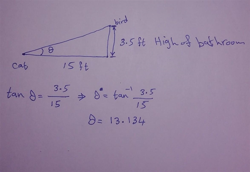 A cat is standing 15 ft from a birdbath that is 3.5 ft tall. The cat can see a bird-example-1