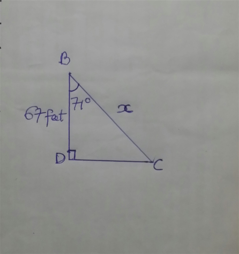 In ΔBCD, the measure of ∠D=90°, the measure of ∠B=71°, and DB = 67 feet. Find the-example-1