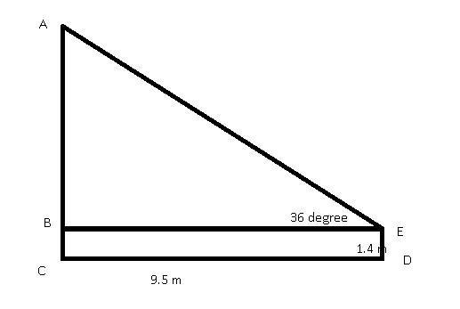 A boy who is 1.4m tall, sighted the top of a flag pole at an angle of elevation of-example-1