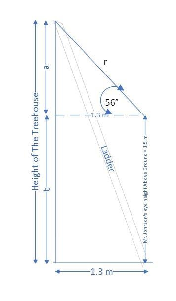 Mr. Jackson has just finished building his treehouse and still needs to buy a ladder-example-1