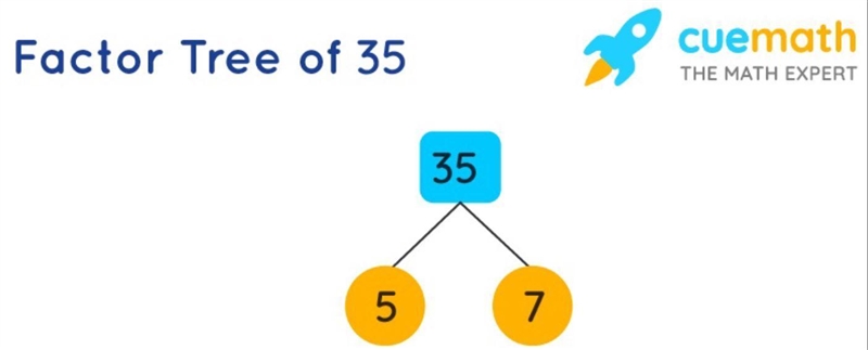 35 and 50 (make a chart, list all factors, and make factor tree)-example-2