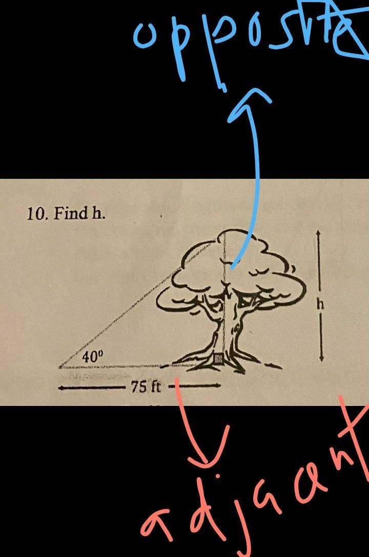 Trigonometric Ratios Find h.-example-1