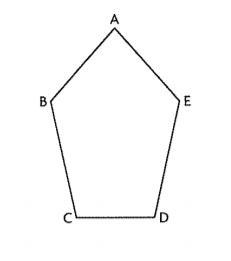 Fred drew the pentagon below how should fred fold the pentagon to determine-example-1