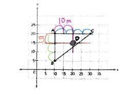 A pole is located at point d on the plot land at a distance of 10 meters from AB and-example-1