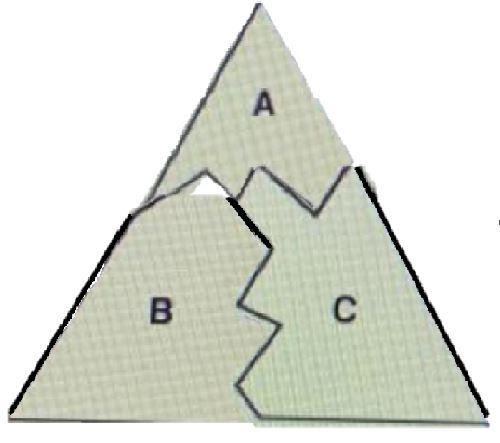 Who has created the correct figure and why? Joey, because the interior angles of the-example-2