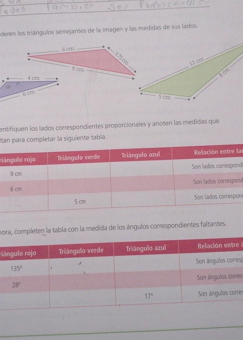 Identifiquen los lados correspondiente proporcionales y anoten las medidas que faltan-example-1