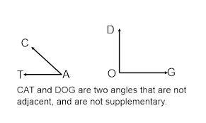 If the two adjacent angles are supplementary then their outer sides are???​-example-1