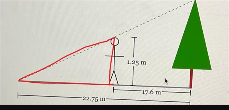 Grayson is 1.25 meters tall. At 12 noon, he measures the length of a tree's shadow-example-1