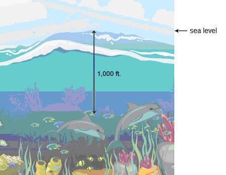 Janelle spots some dolphins in the ocean. Her father draws a diagram to show how far-example-1