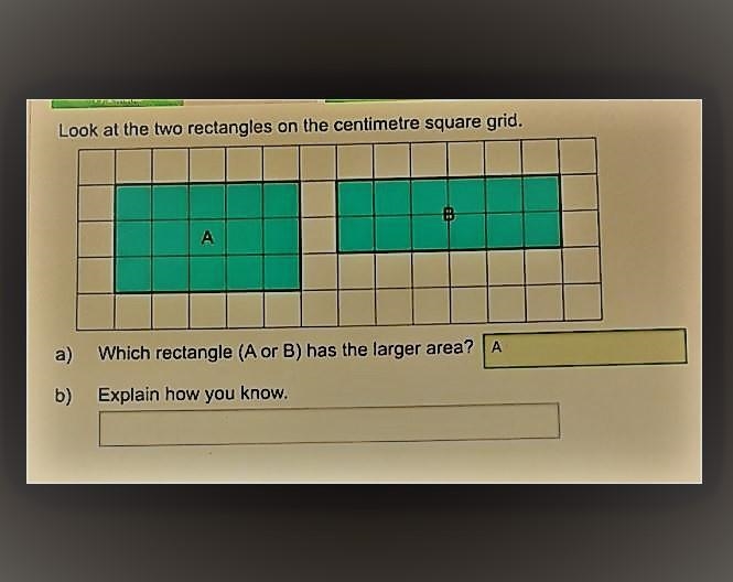 Look at the 2 rectangles on the cm grid which rectangle a or b has the larger area-example-1