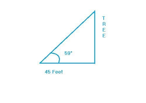 12. You are measuring the height of a Sitka spruce tree in Alaska. You stand 45 feet-example-1