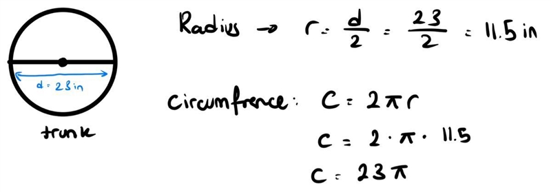 The diameter of a tree trunk is 23 inches. What is the circumference?-example-1