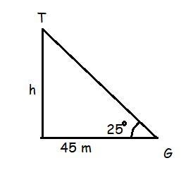 The angle of depression of a point G on a horizontal ground from top T of an electrical-example-1