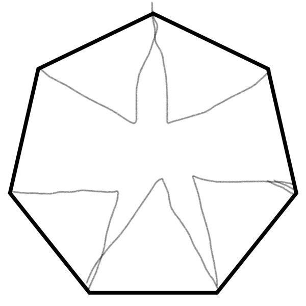 How many triangles are inside a heptagon? 3 5 2 4-example-1