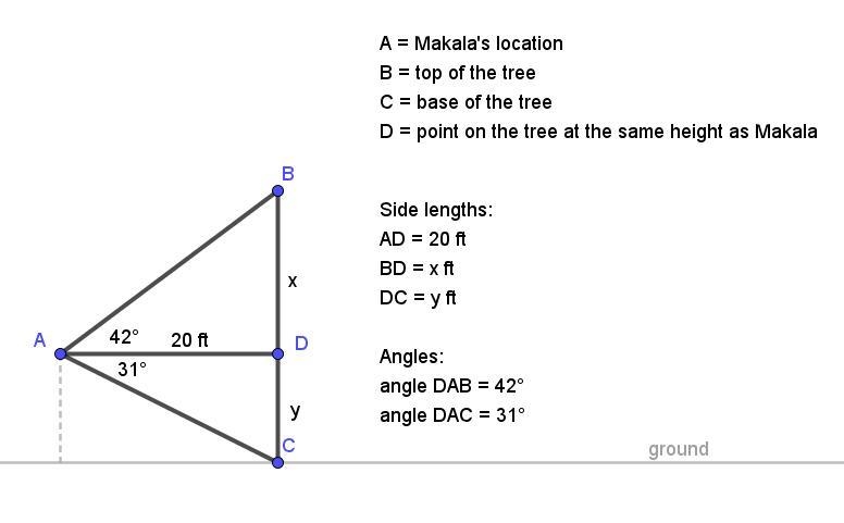 HELP ASAP !!!!!! From her bedroom window, Makala is 20ft. Away from a tree in her-example-1