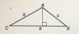 If the area of AABC is D, give the expressions that complete the equation for the-example-1