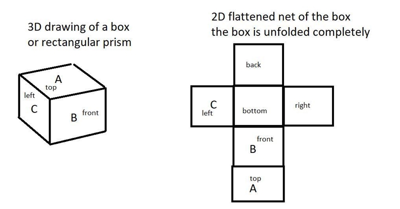 Explain how the net of rectangular prism can help you find the surface area or the-example-1