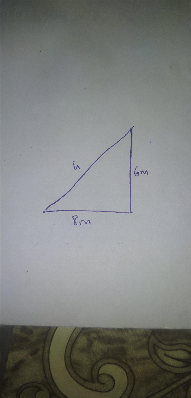 An oak tree is 6 meters tall. A bird is standing on the ground 8 meters from the tree-example-1