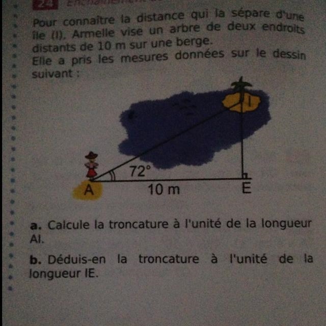 Pour connaitre la distance qui la separes dune ile armelle vise un arbre de deux endroit-example-1