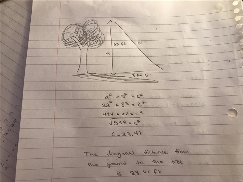 A 22 foot tree casts an 8 foot shadow. How long is the diagonal distance from the-example-1