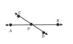 Which statement is true about Angle C P B? Lines C D and A B intersect at point P-example-1