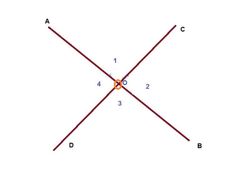 Draw two intersecting line segment AB and CD intersecting at O. Measure the size of-example-1