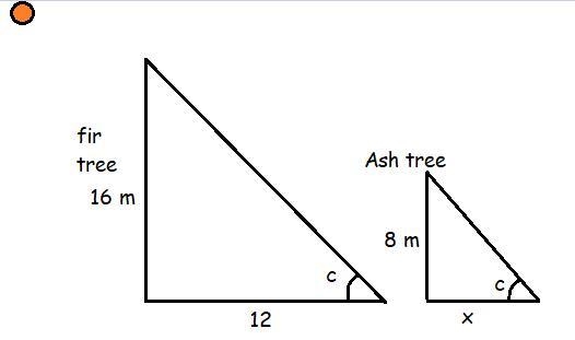 A shadow 12 meters long is cast by a fir tree that is 16 meters tall. What is the-example-1