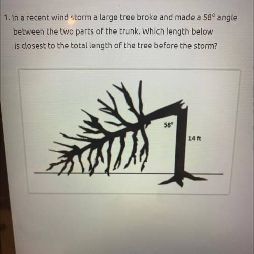 1. In a recent wind storm a large tree broke and made a 58° angle between the two-example-1