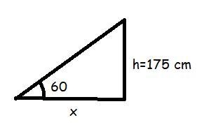 A person that is 175 cm tall is standing outside. How long is this person's shadow-example-1