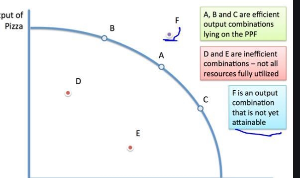 Question in pic please help-example-1