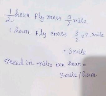 Ely walks 3/2 mile in 1/2 hour. What is his speed in miles per hour?-example-1