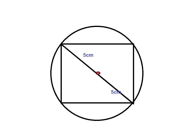 Como sacar el área de un círculo sabiendo que el radio mide 5 cm y en el centro del-example-1