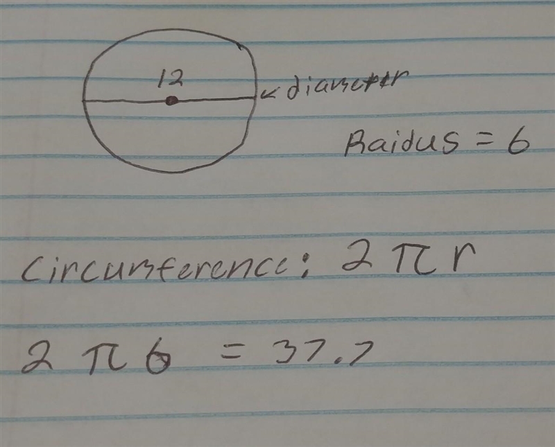 The diameter of a circle is 12 centimeters. What is the circumference?-example-1